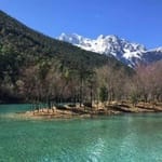 Carolina Sandoval Avatar